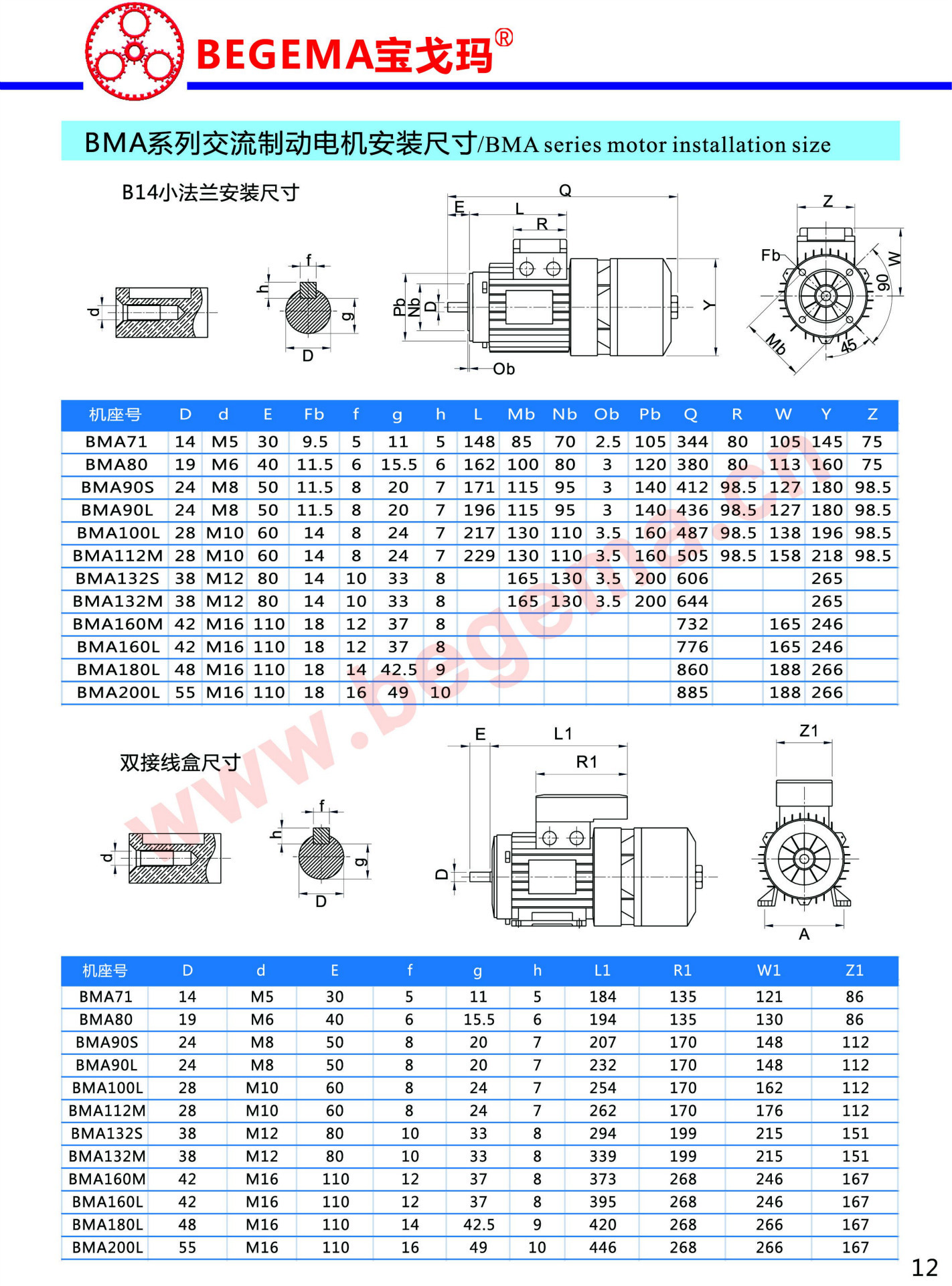 宝戈玛通用电机-20